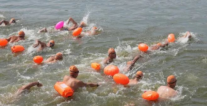 dadqM, 皮划艇联赛, SWIMM