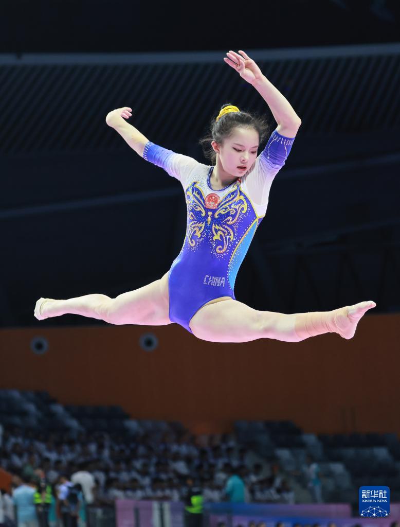 src, 中国国家女, yid